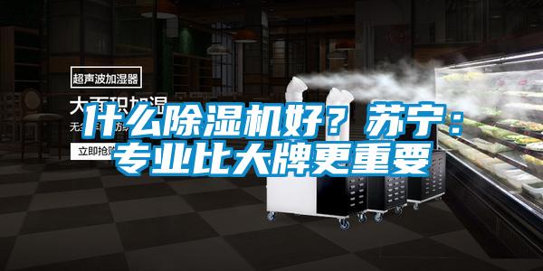 什么除濕機好？蘇寧：專業(yè)比大牌更重要