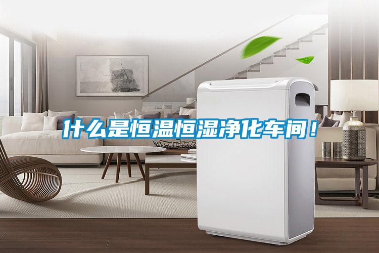 什么是恒溫恒濕凈化車間！