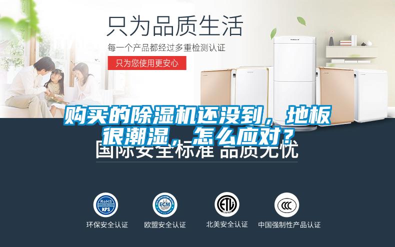 購(gòu)買的除濕機(jī)還沒到，地板很潮濕，怎么應(yīng)對(duì)？