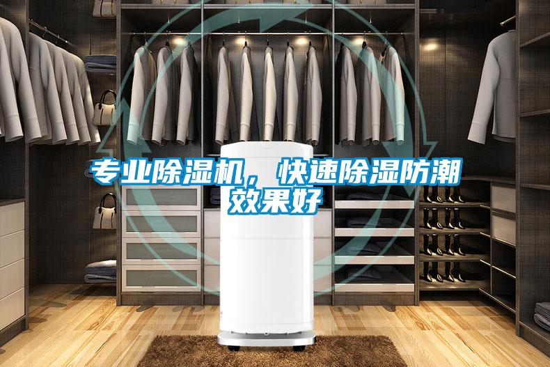 專業(yè)除濕機(jī)，快速除濕防潮效果好