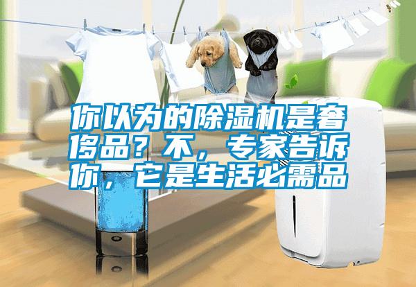 你以為的除濕機(jī)是奢侈品？不，專家告訴你，它是生活必需品