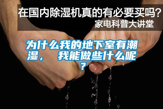 為什么我的地下室有潮濕， 我能做些什么呢？