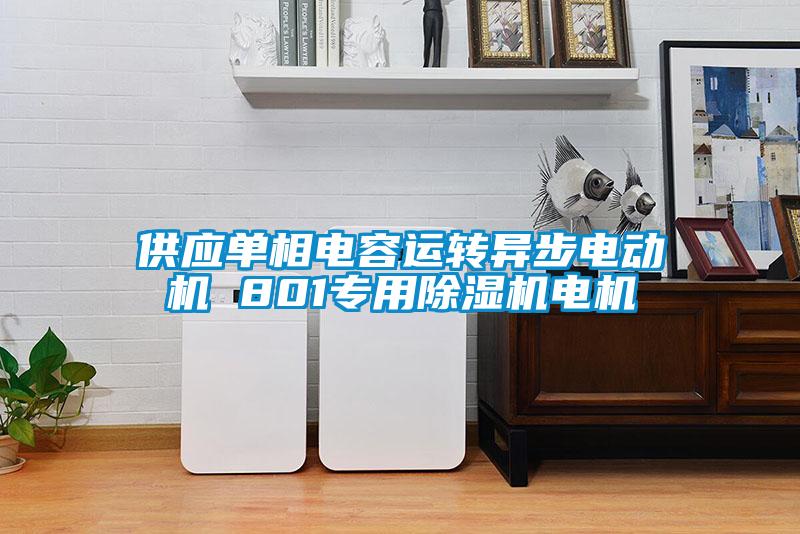 供應單相電容運轉(zhuǎn)異步電動機 801專用除濕機電機