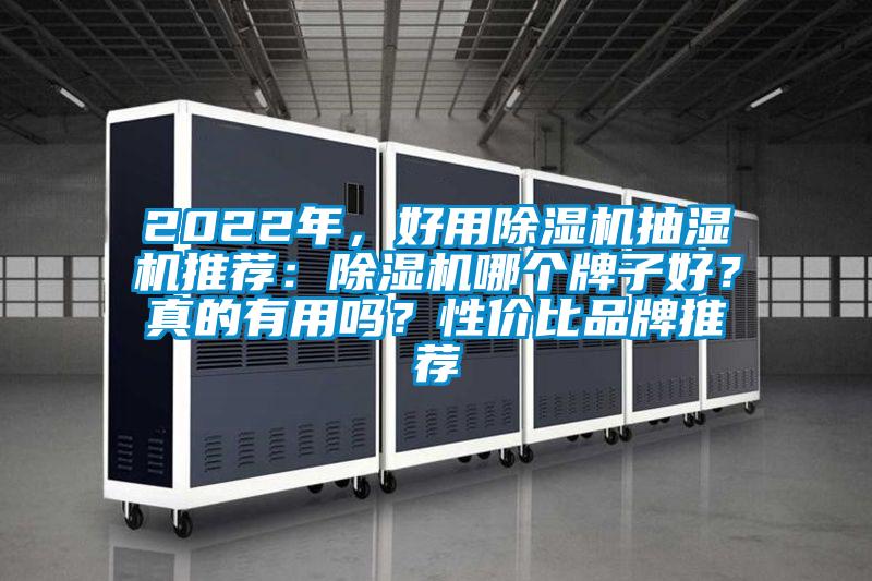 2022年，好用除濕機(jī)抽濕機(jī)推薦：除濕機(jī)哪個(gè)牌子好？真的有用嗎？性價(jià)比品牌推薦