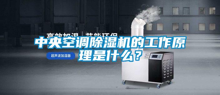 中央空調(diào)除濕機(jī)的工作原理是什么？