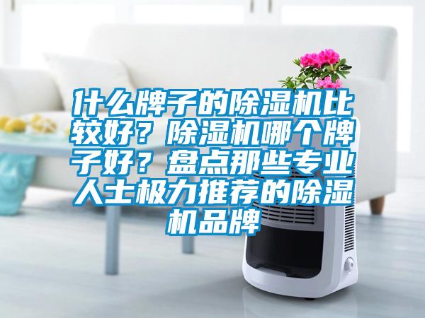 什么牌子的除濕機比較好？除濕機哪個牌子好？盤點那些專業(yè)人士極力推薦的除濕機品牌