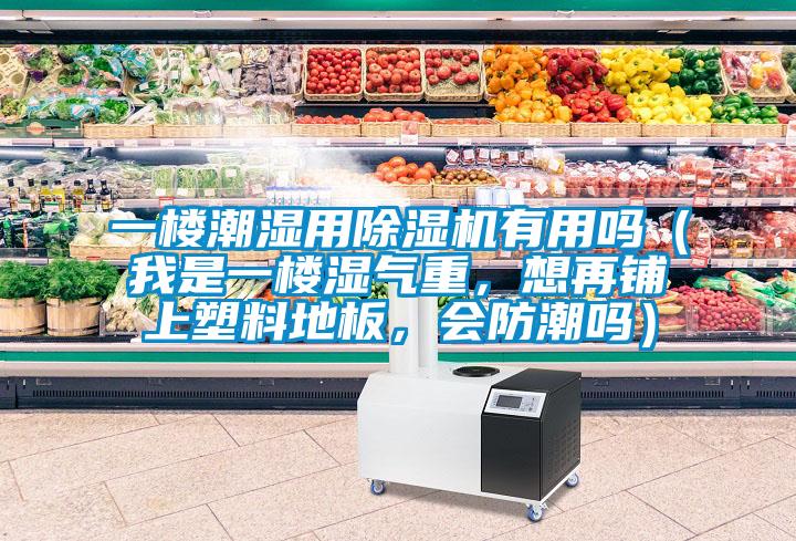 一樓潮濕用除濕機有用嗎（我是一樓濕氣重，想再鋪上塑料地板，會防潮嗎）