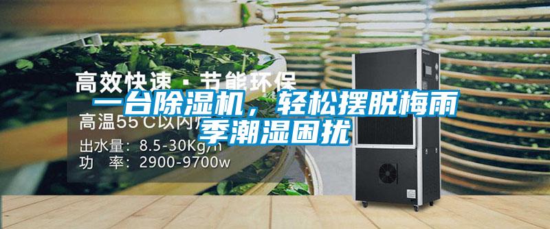 一臺除濕機，輕松擺脫梅雨季潮濕困擾