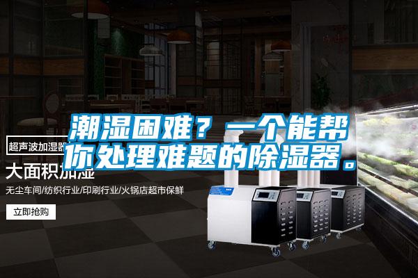 潮濕困難？一個能幫你處理難題的除濕器。