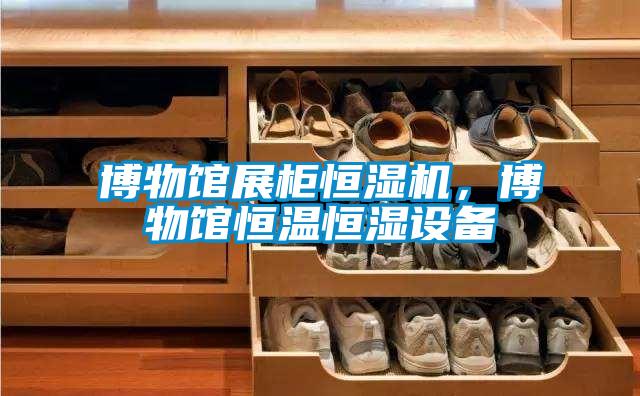 博物館展柜恒濕機(jī)，博物館恒溫恒濕設(shè)備