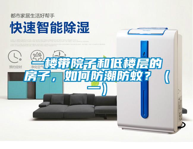 一樓帶院子和低樓層的房子，如何防潮防蚊？（一）