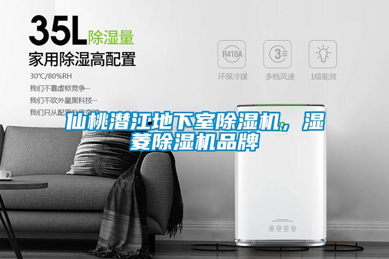 仙桃潛江地下室除濕機(jī)，濕菱除濕機(jī)品牌
