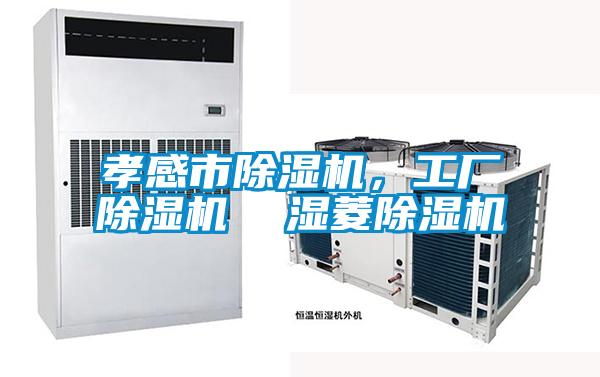 孝感市除濕機(jī)，工廠除濕機(jī)  濕菱除濕機(jī)