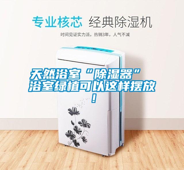天然浴室“除濕器” 浴室綠植可以這樣擺放！