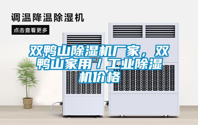 雙鴨山除濕機廠家，雙鴨山家用／工業(yè)除濕機價格