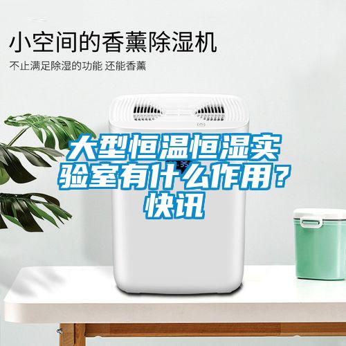 大型恒溫恒濕實(shí)驗(yàn)室有什么作用？快訊