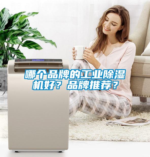 哪個(gè)品牌的工業(yè)除濕機(jī)好？品牌推薦？