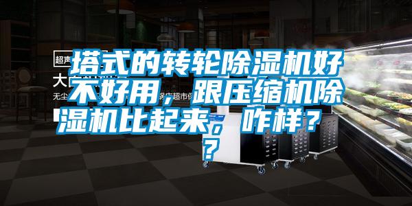塔式的轉(zhuǎn)輪除濕機(jī)好不好用，跟壓縮機(jī)除濕機(jī)比起來，咋樣？ ？