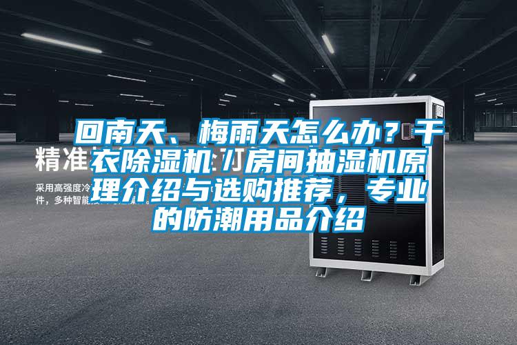 回南天、梅雨天怎么辦？干衣除濕機／房間抽濕機原理介紹與選購推薦，專業(yè)的防潮用品介紹