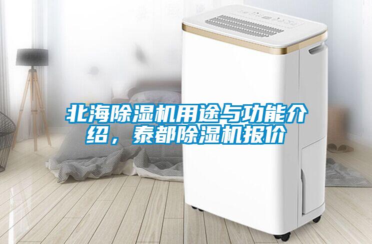 北海除濕機用途與功能介紹，泰都除濕機報價