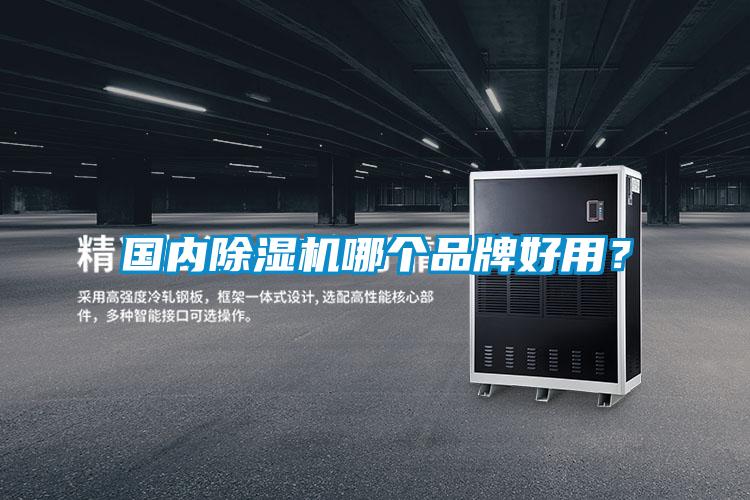 國內(nèi)除濕機(jī)哪個(gè)品牌好用？