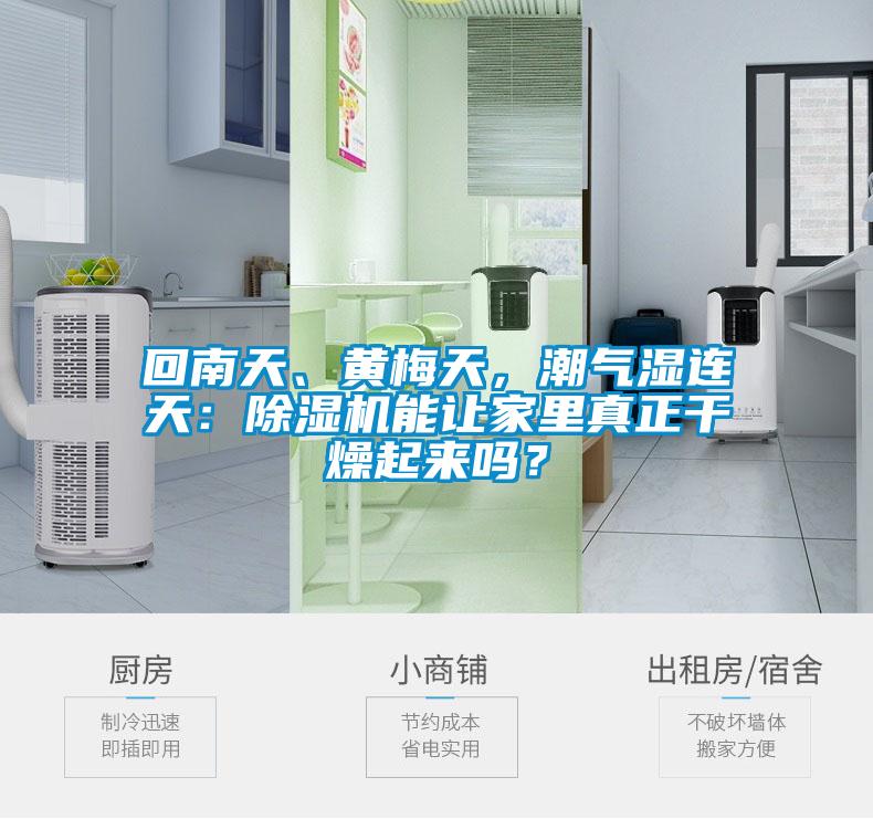 回南天、黃梅天，潮氣濕連天：除濕機能讓家里真正干燥起來嗎？