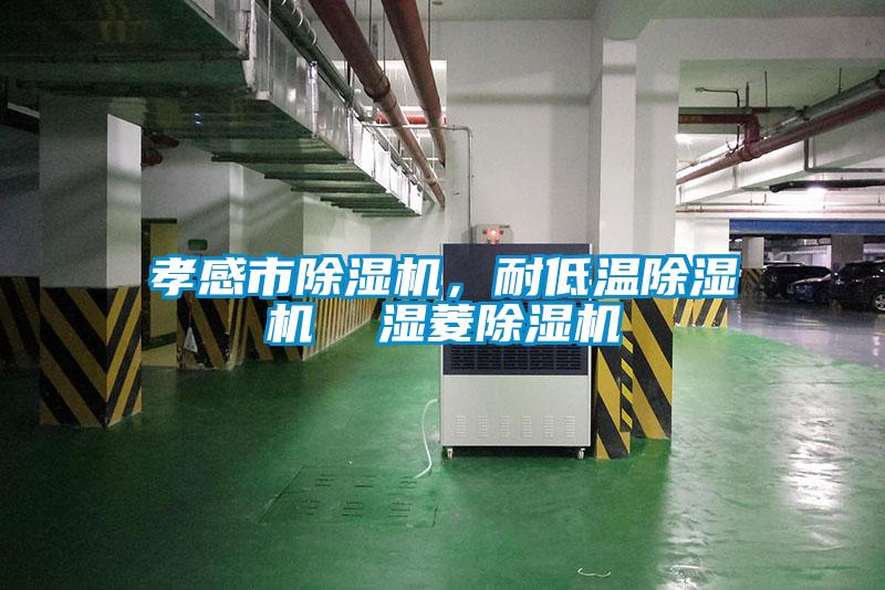 孝感市除濕機(jī)，耐低溫除濕機(jī)  濕菱除濕機(jī)