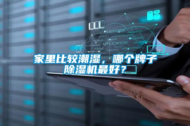 家里比較潮濕，哪個牌子除濕機最好？