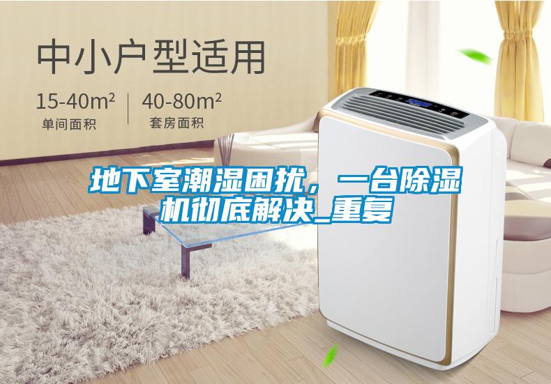 地下室潮濕困擾，一臺除濕機徹底解決_重復(fù)