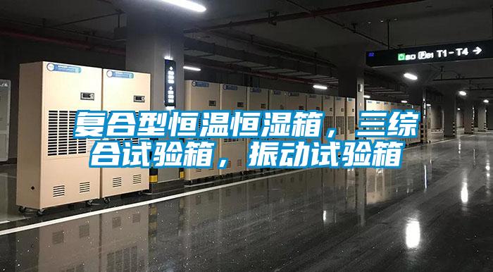 復(fù)合型恒溫恒濕箱，三綜合試驗箱，振動試驗箱