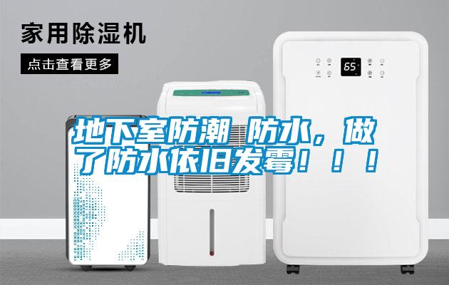 地下室防潮≠防水，做了防水依舊發(fā)霉?。?！