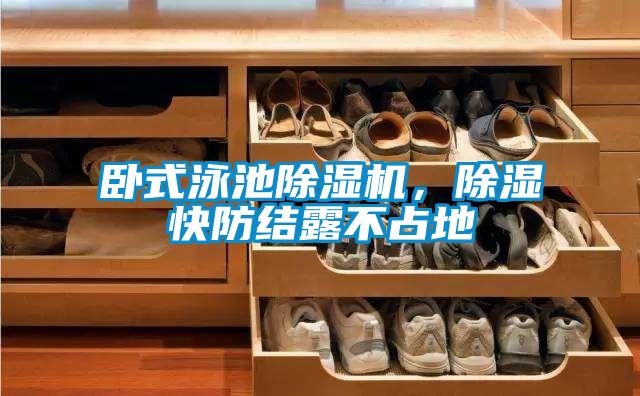 臥式泳池除濕機，除濕快防結(jié)露不占地
