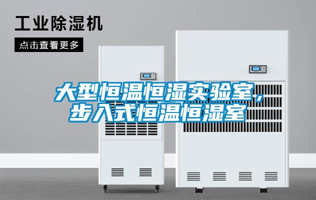 大型恒溫恒濕實驗室，步入式恒溫恒濕室