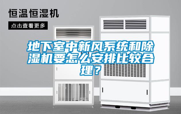 地下室中新風系統(tǒng)和除濕機要怎么安排比較合理？
