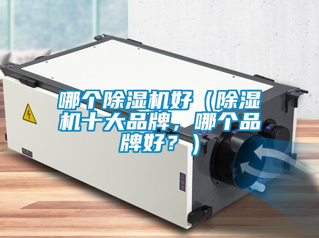 哪個除濕機(jī)好（除濕機(jī)十大品牌，哪個品牌好？）