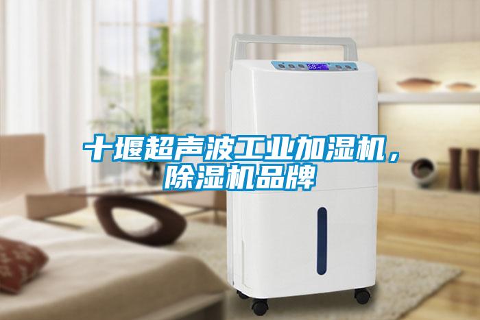 十堰超聲波工業(yè)加濕機(jī)，除濕機(jī)品牌