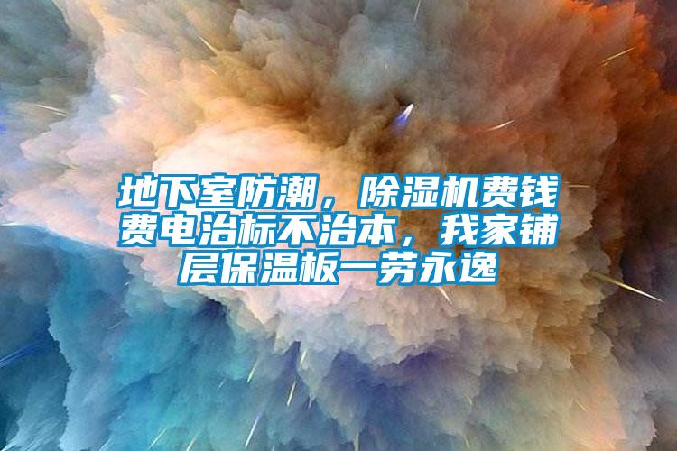 地下室防潮，除濕機(jī)費錢費電治標(biāo)不治本，我家鋪層保溫板一勞永逸