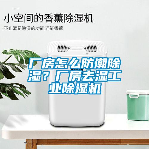廠(chǎng)房怎么防潮除濕？廠(chǎng)房去濕工業(yè)除濕機(jī)
