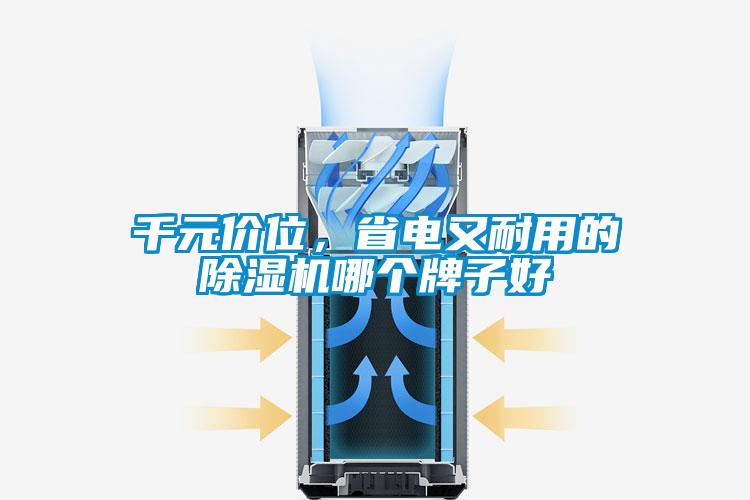 千元價位，省電又耐用的除濕機哪個牌子好