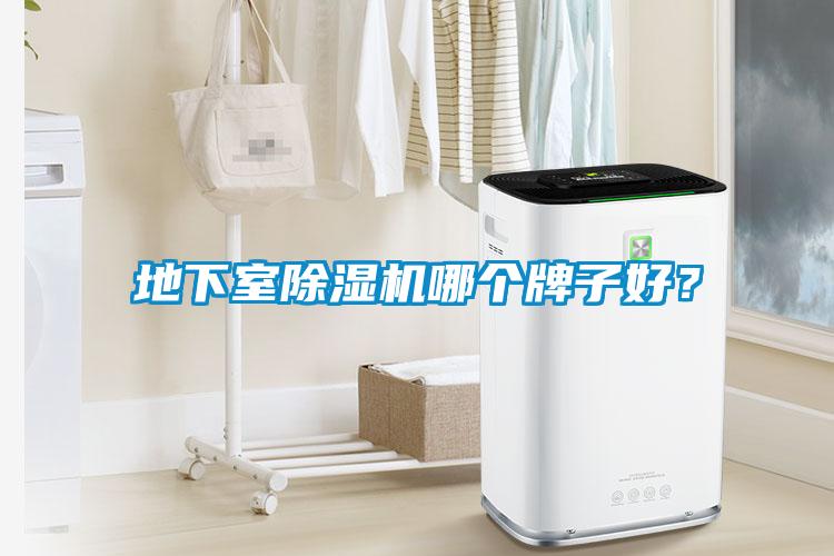 地下室除濕機(jī)哪個(gè)牌子好？