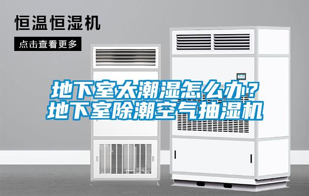 地下室太潮濕怎么辦？地下室除潮空氣抽濕機