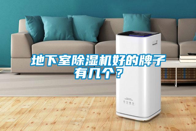 地下室除濕機(jī)好的牌子有幾個(gè)？