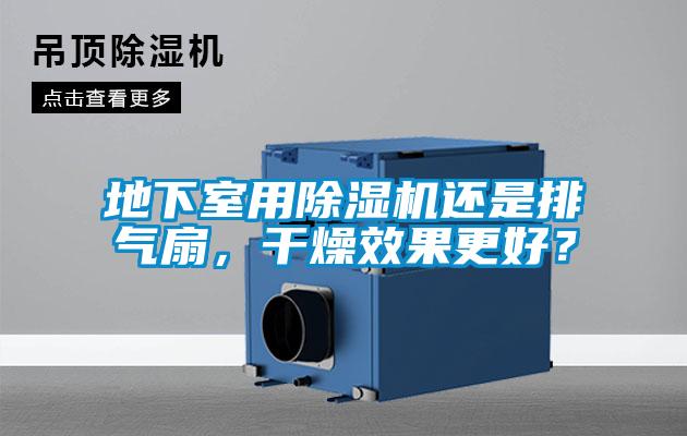 地下室用除濕機還是排氣扇，干燥效果更好？