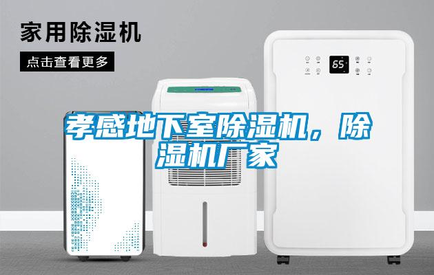 孝感地下室除濕機(jī)，除濕機(jī)廠家