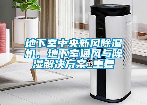 地下室中央新風(fēng)除濕機(jī)，地下室通風(fēng)與除濕解決方案_重復(fù)