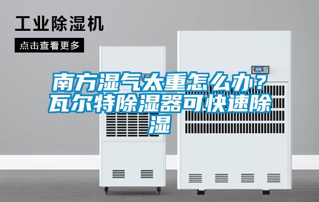 南方濕氣太重怎么辦？瓦爾特除濕器可快速除濕