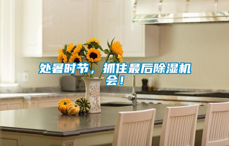 處暑時節(jié)，抓住最后除濕機會！