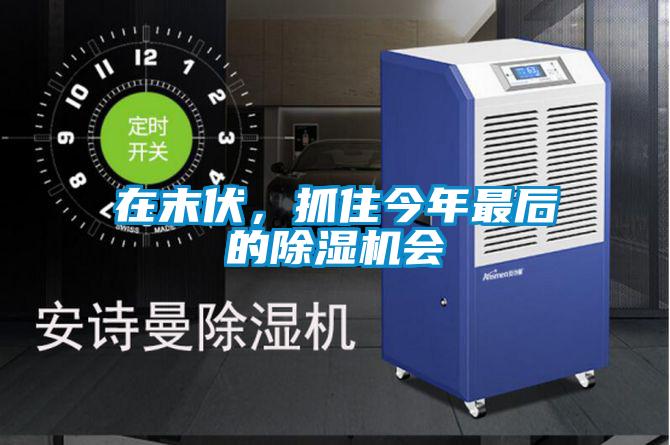 在末伏，抓住今年最后的除濕機會