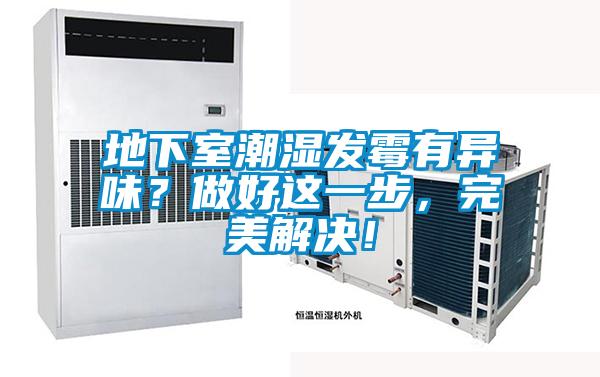 地下室潮濕發(fā)霉有異味？做好這一步，完美解決！
