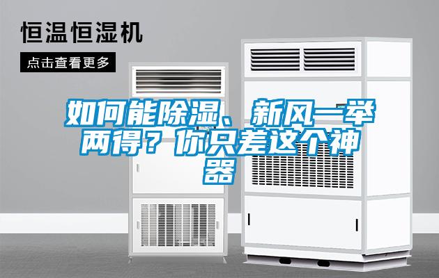 如何能除濕、新風(fēng)一舉兩得？你只差這個神器